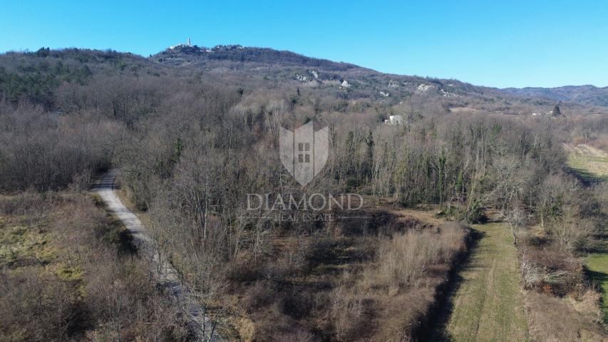 Pićan, okolica, građevinsko zemljište na mirnoj lokaciji