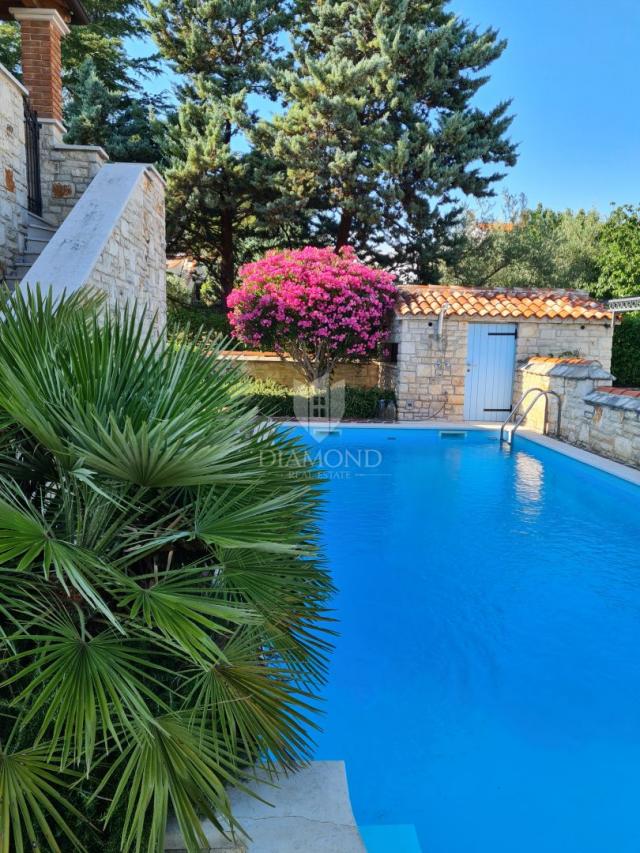 Poreč, surroundings – Beautiful semi-detached house with a pool