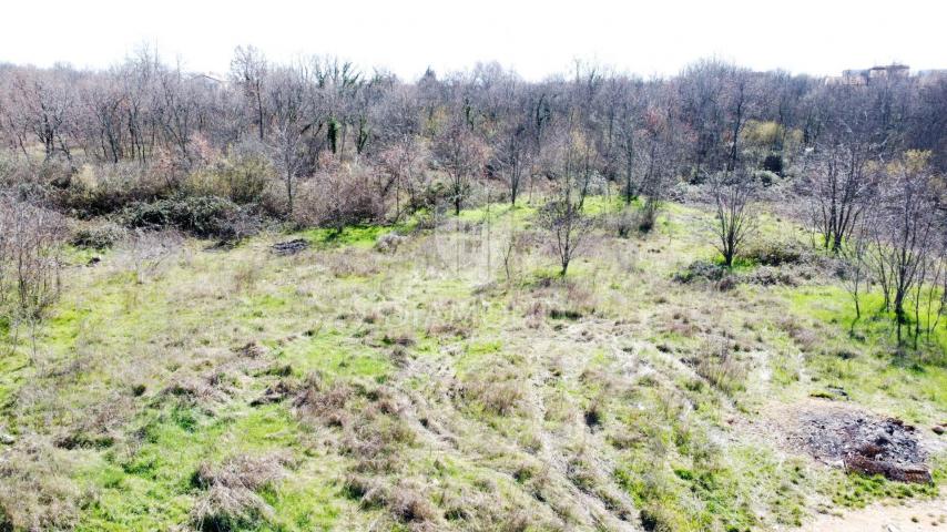 Poreč - okolica - građevinsko zemljište na mirnoj lokaciji