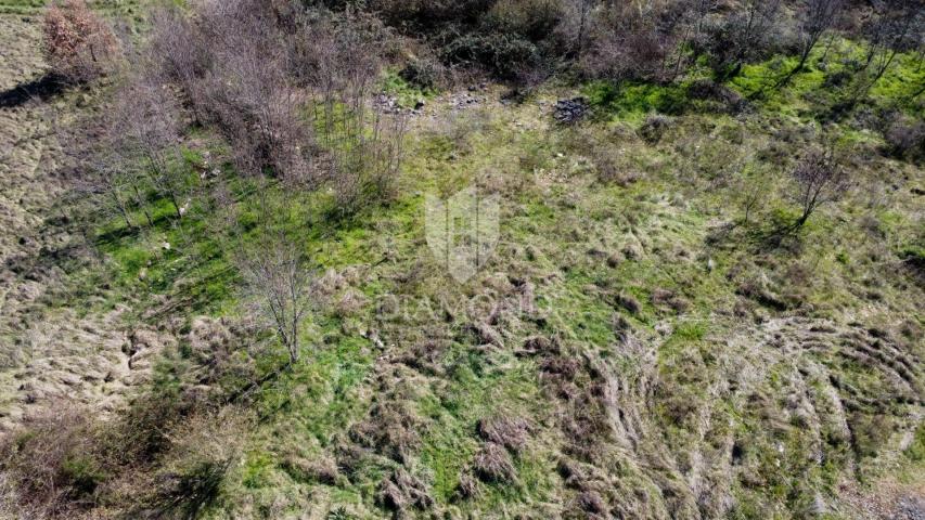 Poreč - okolica - građevinsko zemljište na mirnoj lokaciji