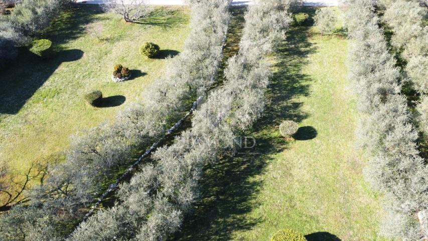 Poreč – Surroundings – Beautiful Building Plot with Olive Grove