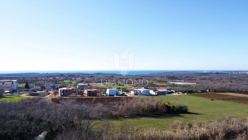Poreč – Surroundings – Beautiful Building Plot with Olive Grove