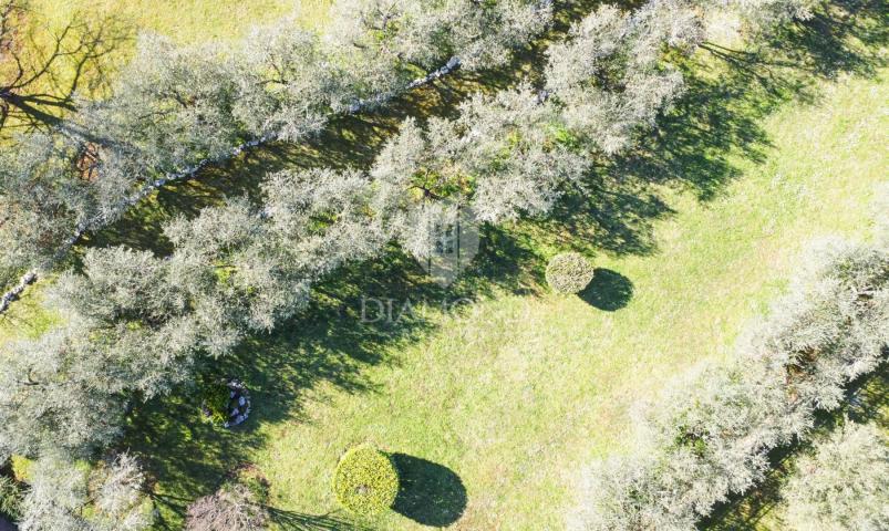 Poreč – Surroundings – Beautiful Building Plot with Olive Grove