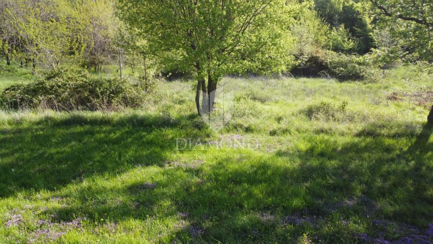 Poreč – okolica – Idealna parcela na atraktivnoj lokaciji