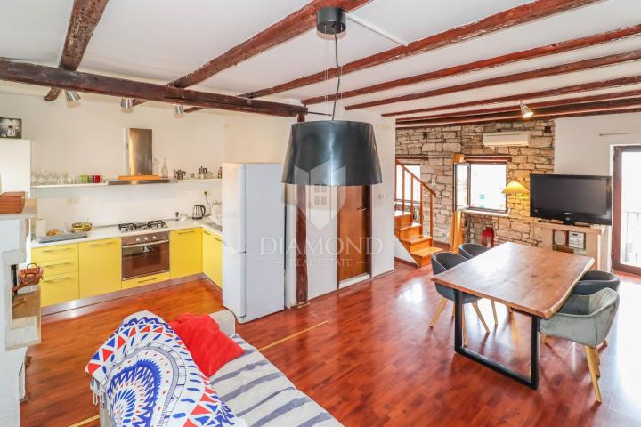 EXCLUSIVE! Rovinj, beautiful apartment with sea view!