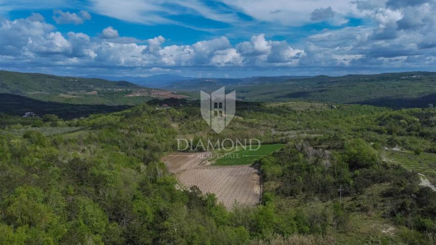 Istra, Buje, okolica- investicijska prilika! 