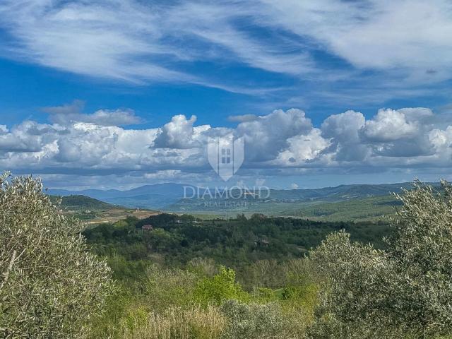 Istra, Buje, okolica- investicijska prilika! 