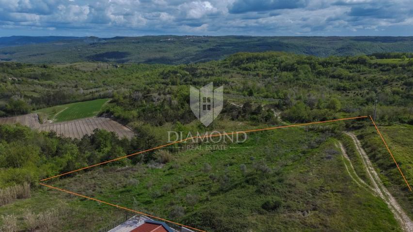 Istra, Buje, okolica- investicijska prilika! 