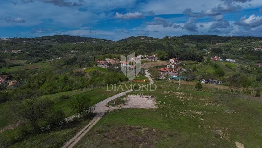 Istra, Buje, okolica- investicijska prilika! 