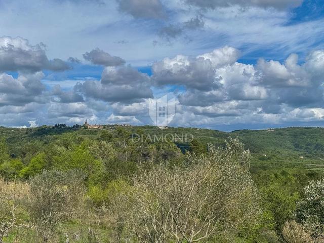Istra, Buje, okolica- investicijska prilika! 