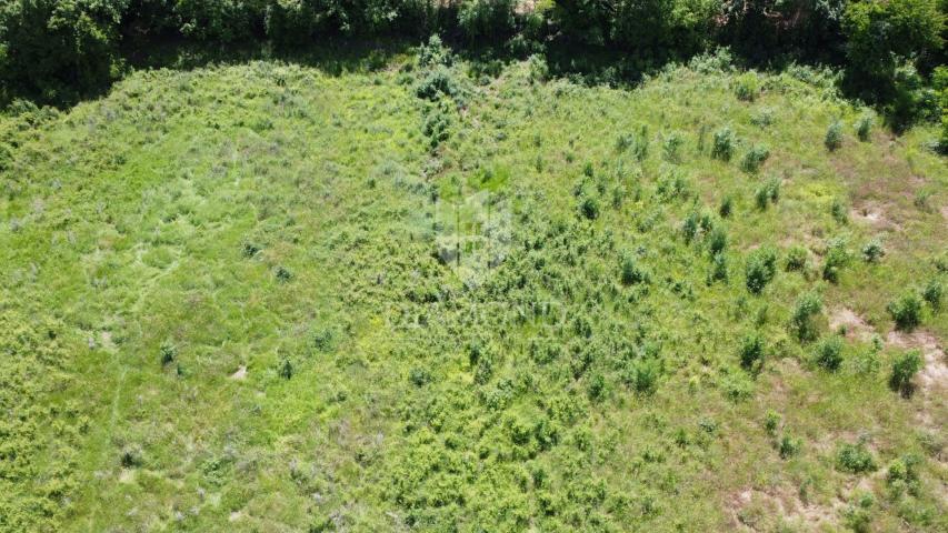 Poreč - Surroundings - Excellent Building Land 906 m² with Project and Permit