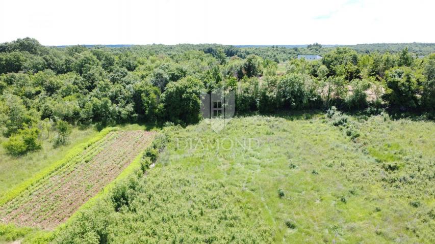 Poreč - Surroundings - Excellent Building Land 906 m² with Project and Permit
