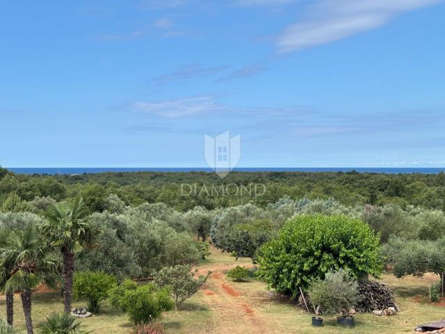 Istrian stone house in a quiet location near Umag