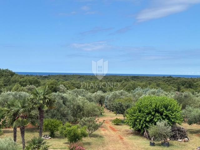 Istrian stone house in a quiet location near Umag