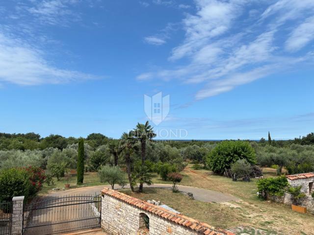 Istrian stone house in a quiet location near Umag