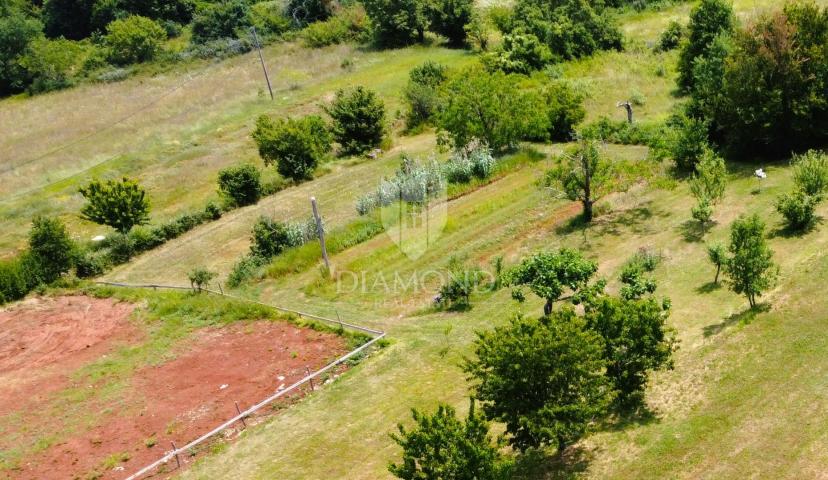 Motovun, okolica – Građevinsko zemljište