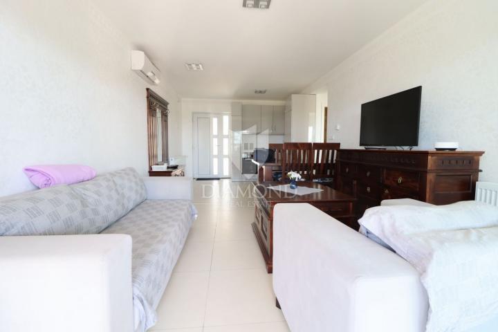 Poreč, Surroundings: Rare Find! Home for Living and Investment