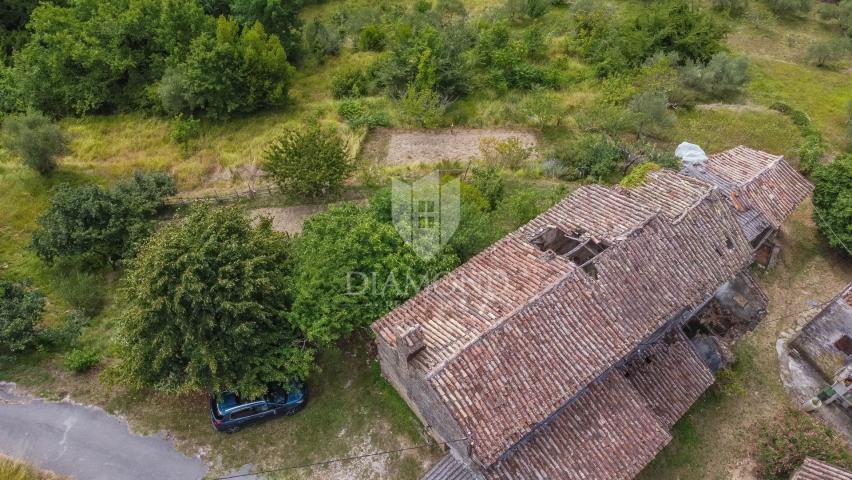 Motovun, okolica- starina s velikim potencijalom u srcu Istre