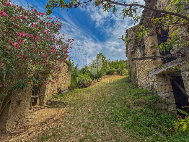 Motovun, okolica- starina s velikim potencijalom u srcu Istre