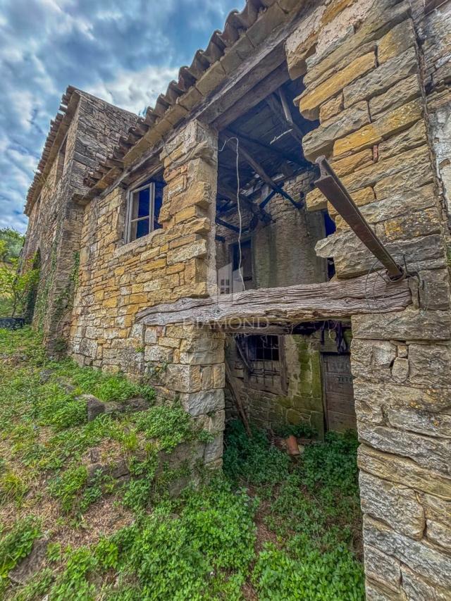 Motovun, okolica- starina s velikim potencijalom u srcu Istre