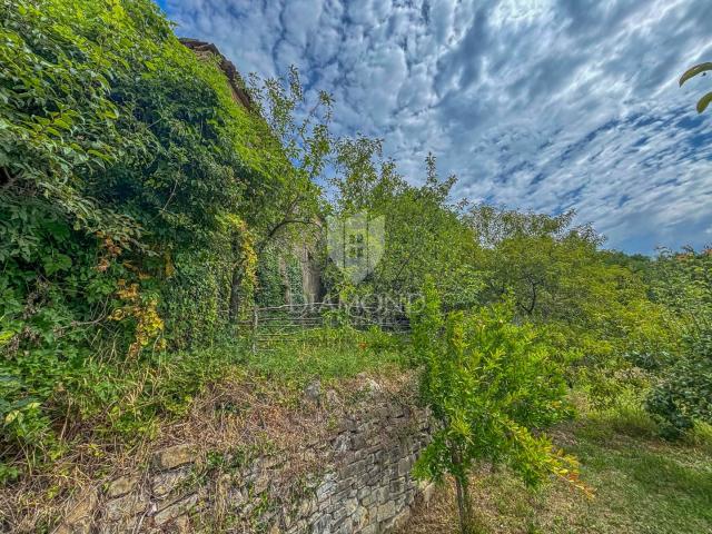 Motovun, okolica- starina s velikim potencijalom u srcu Istre