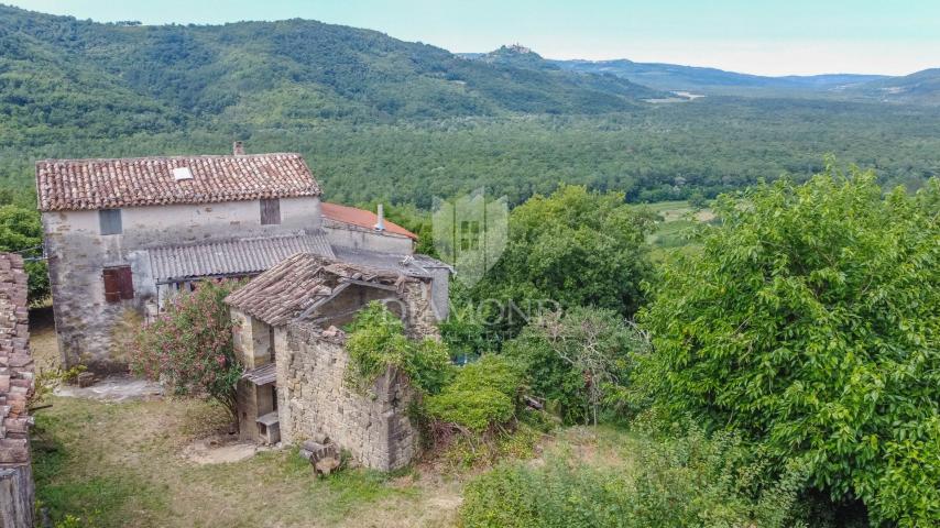 Motovun, okolica- starina s velikim potencijalom u srcu Istre