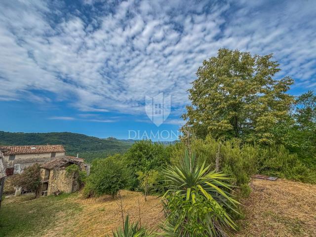 Motovun, okolica- starina s velikim potencijalom u srcu Istre