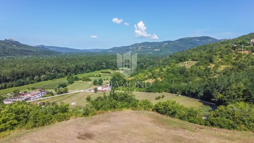 Motovun, okolica, izuzetno građevinsko zemljište s pogledom!
