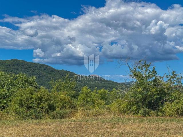 Motovun, okolica, izuzetno građevinsko zemljište s pogledom!