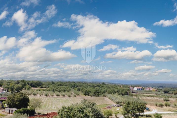 Poreč area, modern villa with 6 apartments