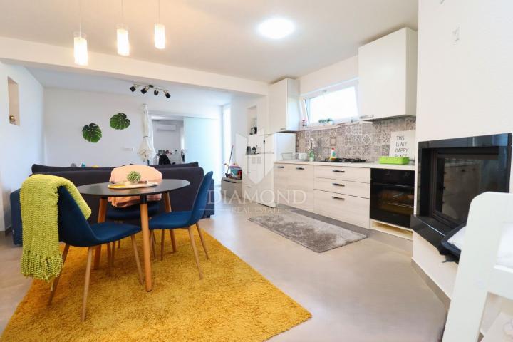 Poreč area, modern villa with 6 apartments