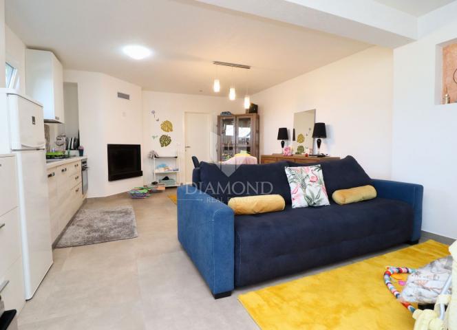 Poreč area, modern villa with 6 apartments