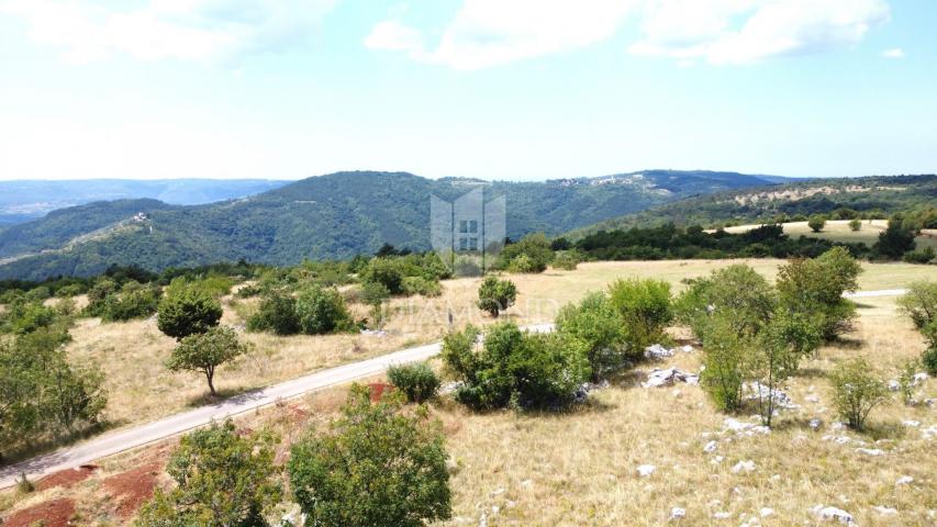 Oprtalj, okolica – zemljište 9.181 m² s pogledom