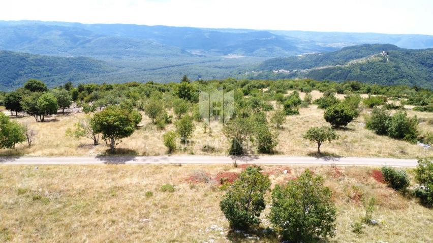 Oprtalj, okolica – zemljište 9.181 m² s pogledom