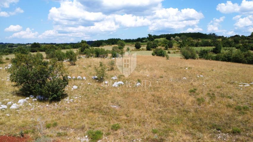 Oprtalj, okolica – zemljište 9.181 m² s pogledom