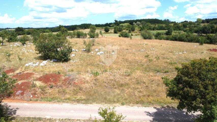 Oprtalj, okolica – zemljište 9.181 m² s pogledom