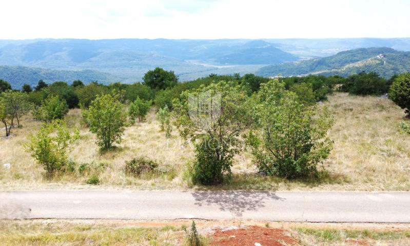 Oprtalj, okolica – zemljište 9.181 m² s pogledom