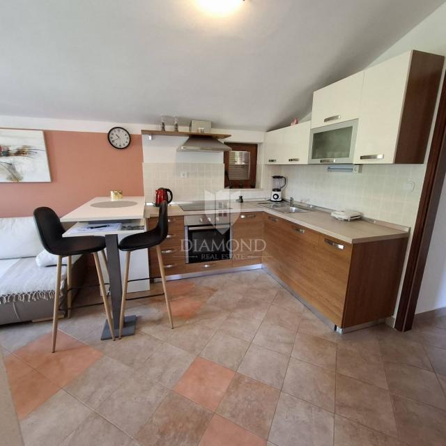 Great house in Labin