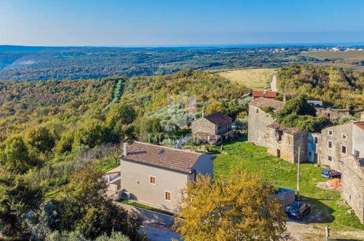 Buje! Predivna vila s bazenom i otvorenim pogledom!