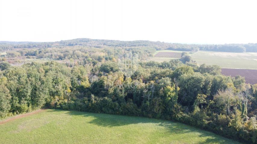 Poreč – poljoprivredno zemljište 14.882 m²