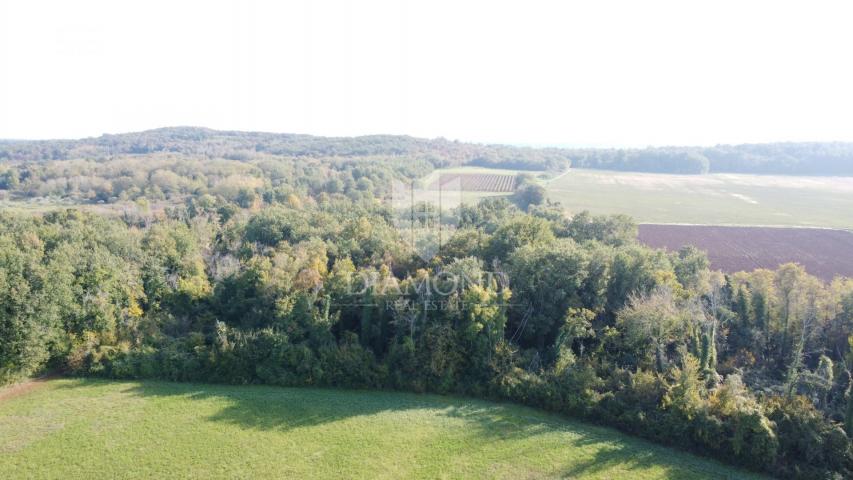 Poreč – poljoprivredno zemljište 14.882 m²