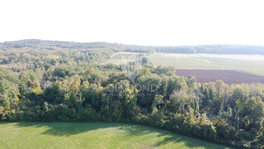 Poreč – poljoprivredno zemljište 14.882 m²