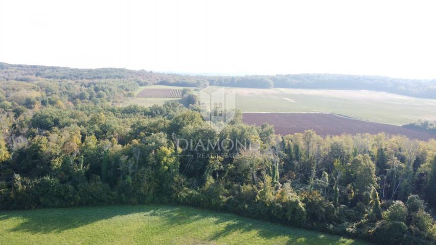 Poreč – poljoprivredno zemljište 14.882 m²