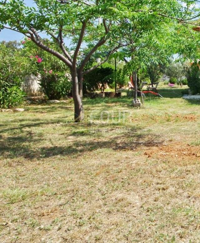 Otok Vir, samostojeća kuća na velikom zemljištu površine 2.732m2