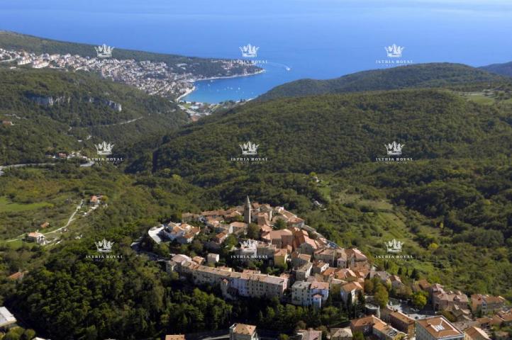 Istria, Plomin, Ripenda, sale of large agricultural land, 56000m2.