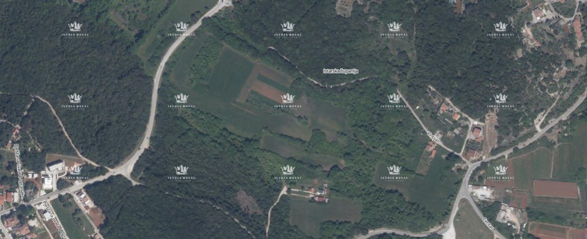 ISTRA, PULA, PRODAJA, POLJOPRIVREDNO ZEMLJIŠTE U VINTIJANU – ODLIČNA LOKACIJA!