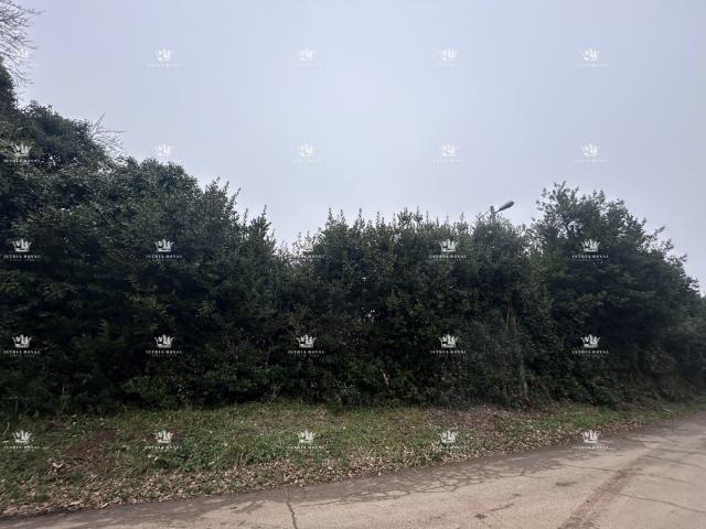 Istra , Umag , Materada , gradjevinska parcela 590m2 sa ruševinama , 