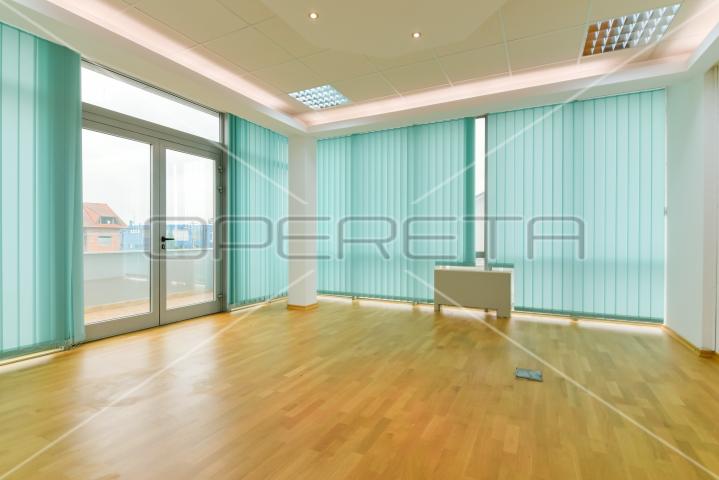Najam, Ured, Lučko, Hrastovička , 450m2