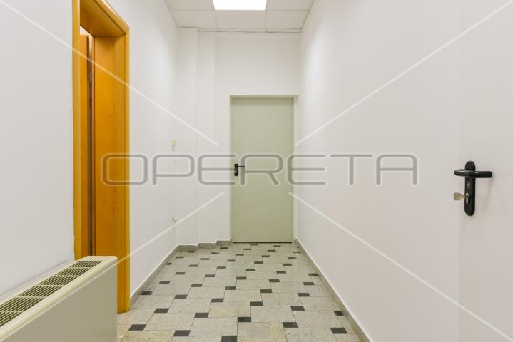 Najam, Ured, Lučko, Hrastovička , 450m2