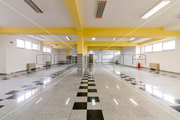 Najam, Ured, Lučko, Hrastovička , 450m2